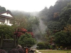 下雨天的享受-十八棵（老龙井）御茶园(老龙井店)