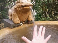 -仁爱团泊湖温泉中心