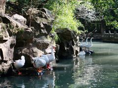 -兰亭风景区