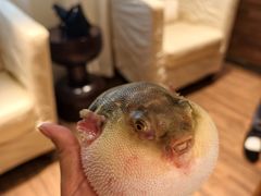 -永安鱼庄·镇江菜(东吴路店)