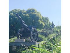 -上海吴淞炮台湾国家湿地公园