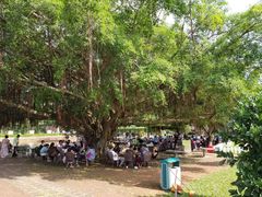 -侯臣咖啡文化村