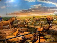 -陕西自然博物馆