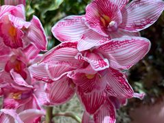 -BEAST野兽派(上海浦东嘉里城店)