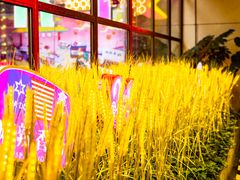 -CITY MART城市集市(中庚漫游城店)
