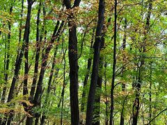 -五女峰国家森林公园