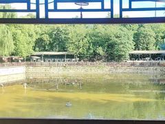 -尚庄度假村·庭台树下·户外烧烤·团建CS·轰趴营地(上庄水库店)