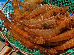 -碧海银沙海鲜餐厅(恒大海上威尼斯店)