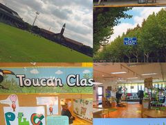 -上海德威外籍人员子女学校(浦东校区)