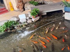 -顺峰·粤菜海鲜·早茶自助(阜成店)