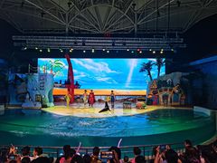 -三亚海昌梦幻海洋不夜城