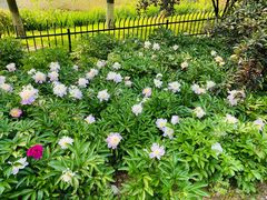 -幕燕滨江·长江观音景区