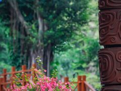 -深圳国际园林花卉博览园