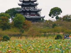 -上海海湾国家森林公园