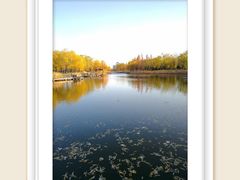 -中关村生命科学园