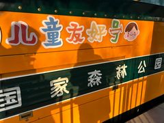 -合肥滨湖国家森林公园