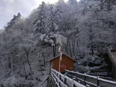 -秦岭天竺山景区