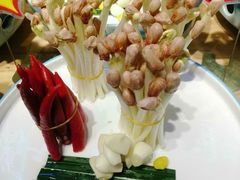 -鸽子窝(宋庄店)