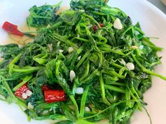 -荥清饭店