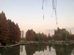 -白塘生态植物园