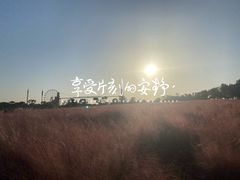 -花博汇(知音花月夜)