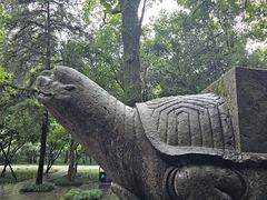 -灵谷景区