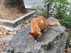 -宝通禅寺