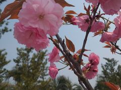 -南通洲际绿博园