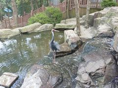 -燕塞湖鸟语林景区