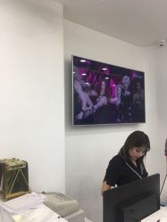 -YESIDO椰岛造型