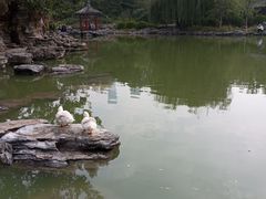 -申德勒加油站西餐厅(日坛路总店)