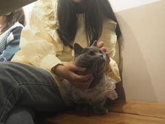 -Punchline Coffee&Roaster(同济大学店)