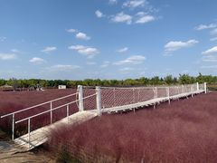 -嘉北郊野公园