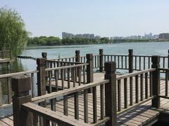 -高子水居