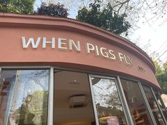 -WHEN PIGS FLY当猪飞