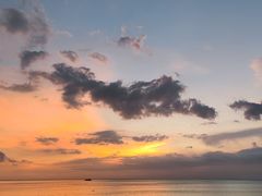 -川湘蓝天海鲜