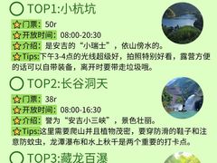 -阿露佳·舌尖上的安吉菜