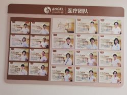 -北京安琪