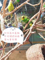 点击看大图 -七巧国萌宠乐园(龙湖天街店)