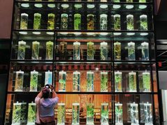 -广东中医药博物馆