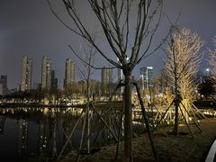 -后襄河公园