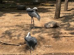 -鄂尔多斯野生动物园