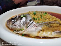 -绿茶餐厅(龙湖金楠天街店)