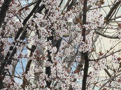 -爱定格照相馆.证件照(周浦万达店)