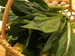 -椰夫人·养生椰子鸡(黄埔时代城店)