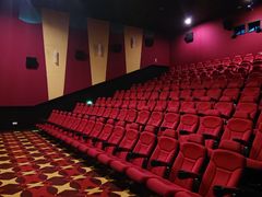 -AMG海上明珠影城(上海环球港RealDCinema店)