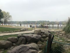 -昆山城市生态森林公园