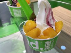 -Salud撒露欧洲冻酸奶(蓝色港湾店)