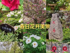 -洛阳市牡丹公园