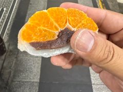 -西归浦每天偶来市场